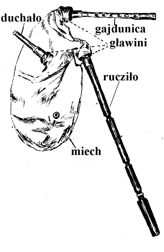 Budowa gajdy